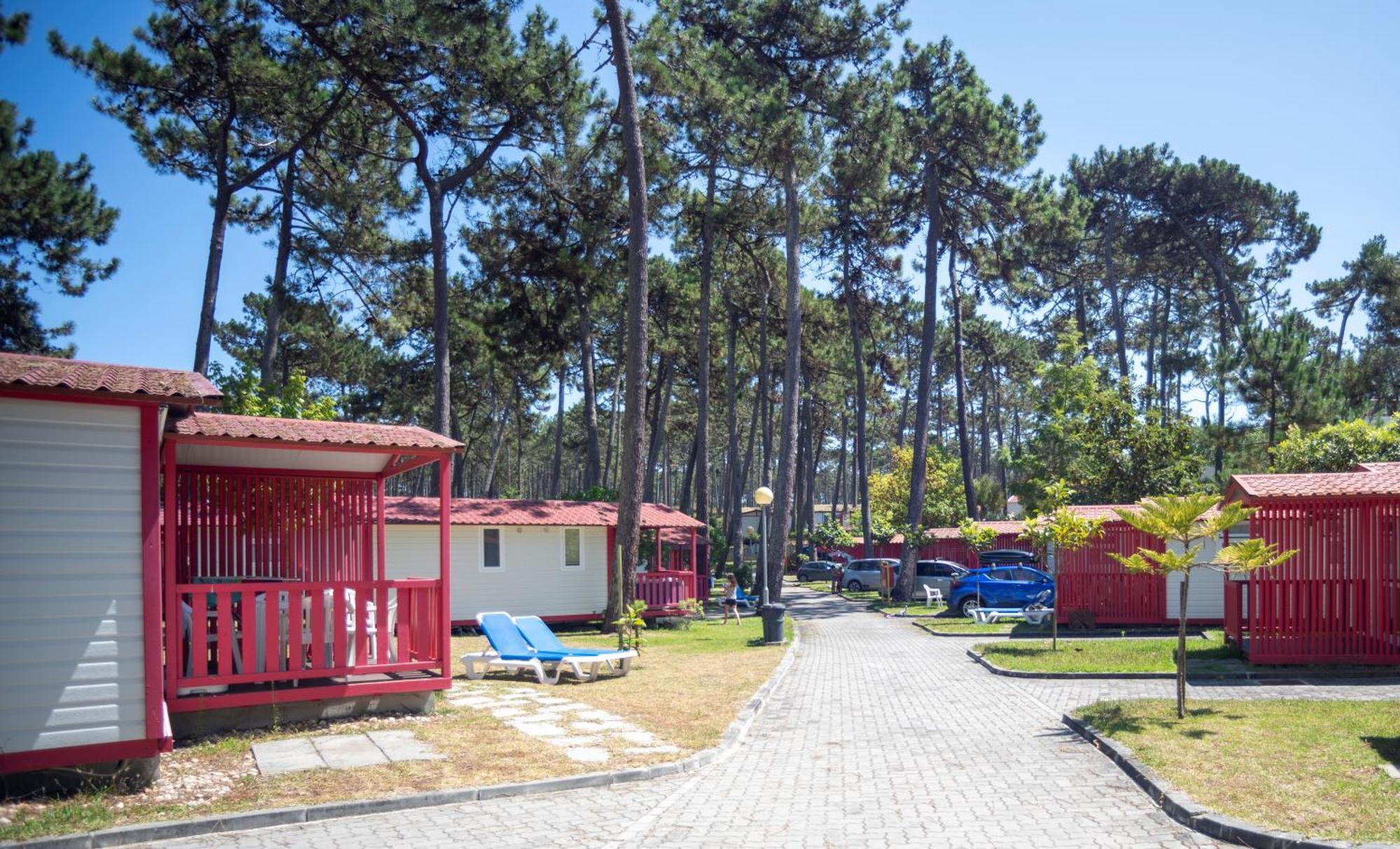 Отель Parque De Campismo Orbitur Сан-Педру-де-Моэл Номер фото